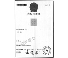 Trademark Registration Certificate